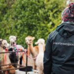 Staffordshire: Wetley Moor Alpaca Trekking Experience - FAQ