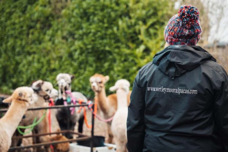 Staffordshire: Wetley Moor Alpaca Trekking Experience - FAQ