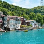 stanbul: Afternoon Bosphorus and Black Sea Cruise - An Overview of the Experience
