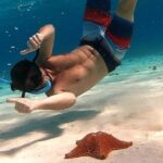Starfish, Stingrays and the Turtle Sanctuary Snorkeling Tour - The Experience and Guide Quality
