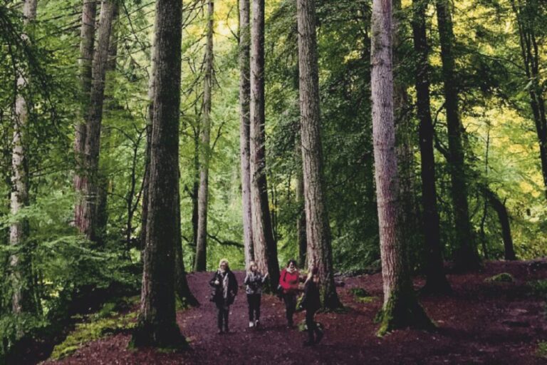 Stirling, Highlands & Destilería desde Edimburgo en español. - Valor del precio y qué incluye