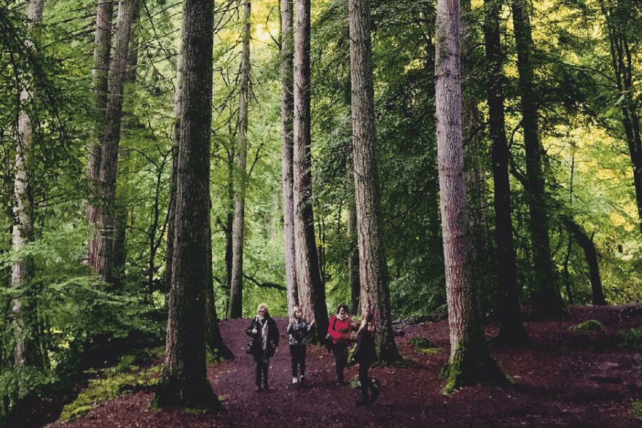 Stirling, Highlands & Destilería desde Edimburgo en español. - Valor del precio y qué incluye