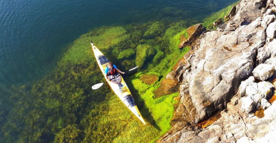 Stockholm: 1, 2, or 3-Day Kayaking Tour in the Archipelago - How the Experience Has Been Received