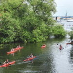 Stockholm: 2-Hour Guided Kayak Tour in City Center - What to Expect During the Tour