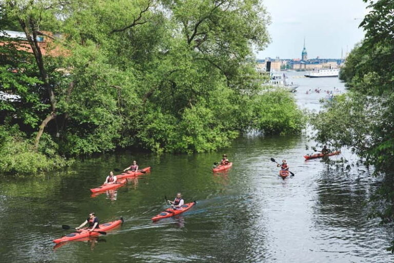 Stockholm: 2-Hour Guided Kayak Tour in City Center - What to Expect During the Tour