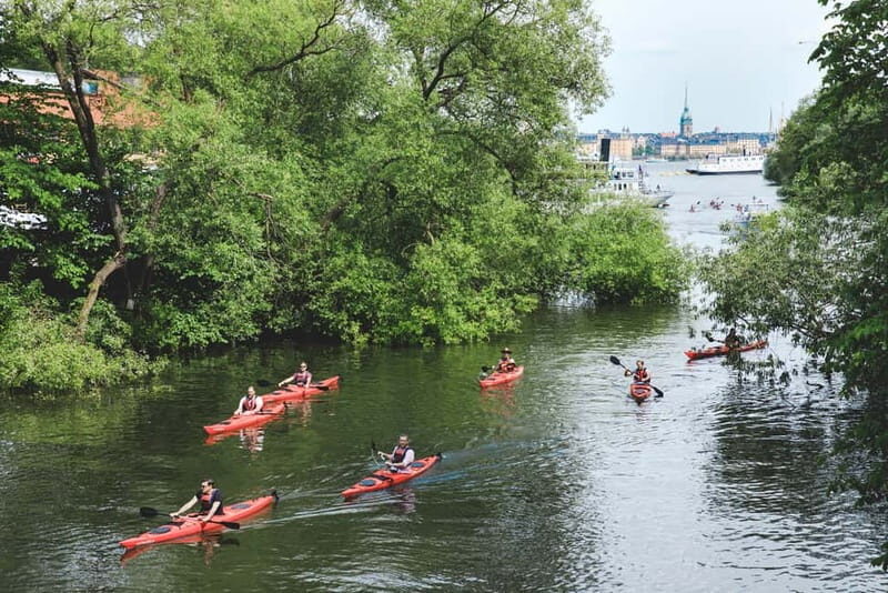 Stockholm: 2-Hour Guided Kayak Tour in City Center - What to Expect During the Tour