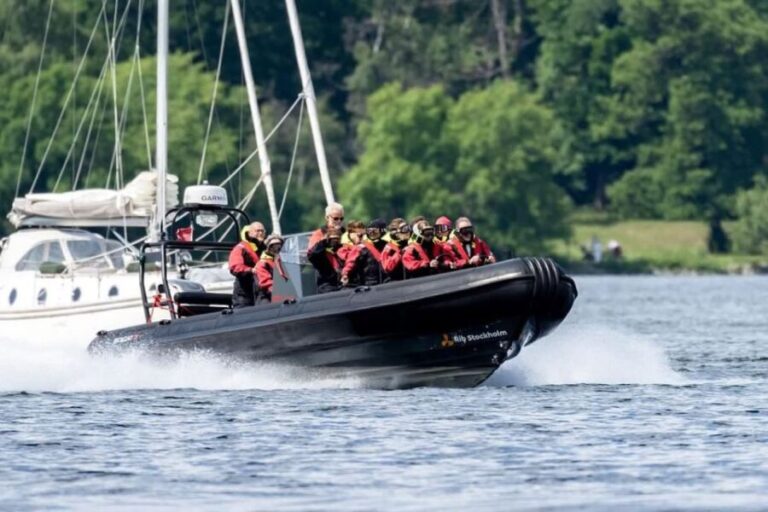 Stockholm: 2-Hour RIB Speed Boat Tour of the Archipelago - The Experience Details
