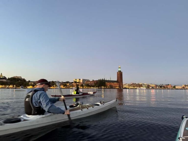 Stockholm by Night: Guided Winter Kayak Tour with Dry Suit - Who Should Consider This Tour?