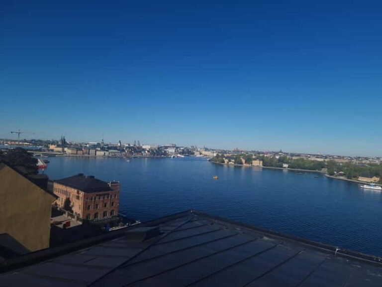 Stockholm City: Visit Icebar and Vasamuseum - The Real Experience: Pros and Cons