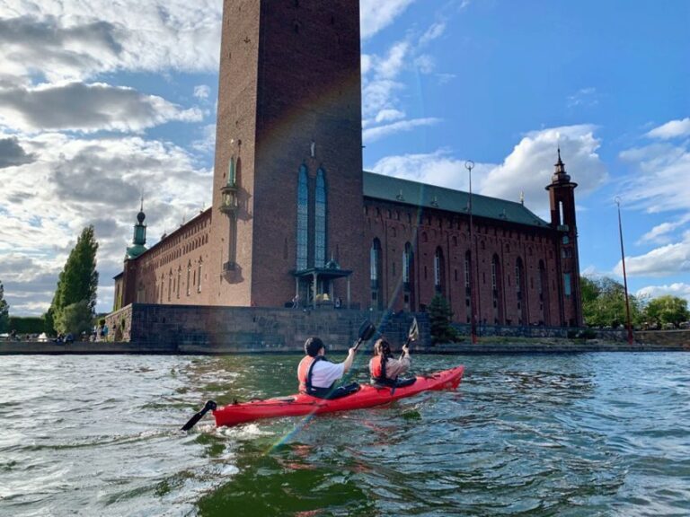 Stockholm: Daytime Kayak Tour in Stockholm City - What’s Not Perfect? Some Considerations