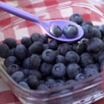 Stockholm: Evening Wildlife Safari with Midsummer Meal - Is It Worth the Price?