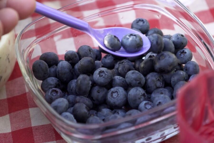 Stockholm: Evening Wildlife Safari with Midsummer Meal - Is It Worth the Price?