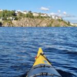 Stockholm: Guided Kayak Tour to Drottningholm Royal Palace - Who Will Love This Tour?