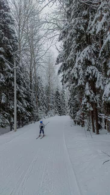 Stockholm: Introduction to Cross Country Skiing - What Travelers Say