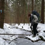 Stockholm: Nature Hike with Campfire Lunch - The Value & Who Will Love This Tour