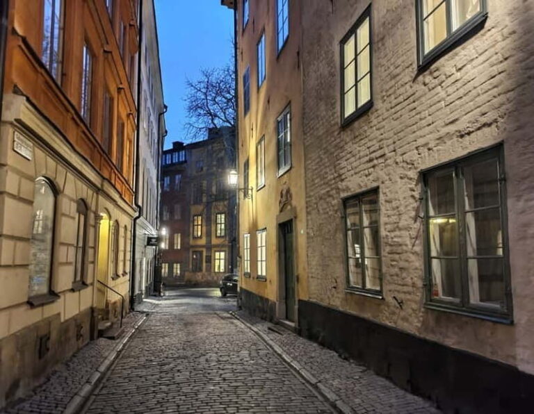 Stockholm: Private Magical Swedish Christmas Tour 2h - Navigating the Tour Experience