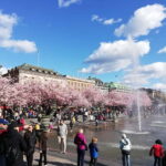 Stockholm: Scandinavian Architecture & Design Ostermalm Tour - Practical Tips and Considerations