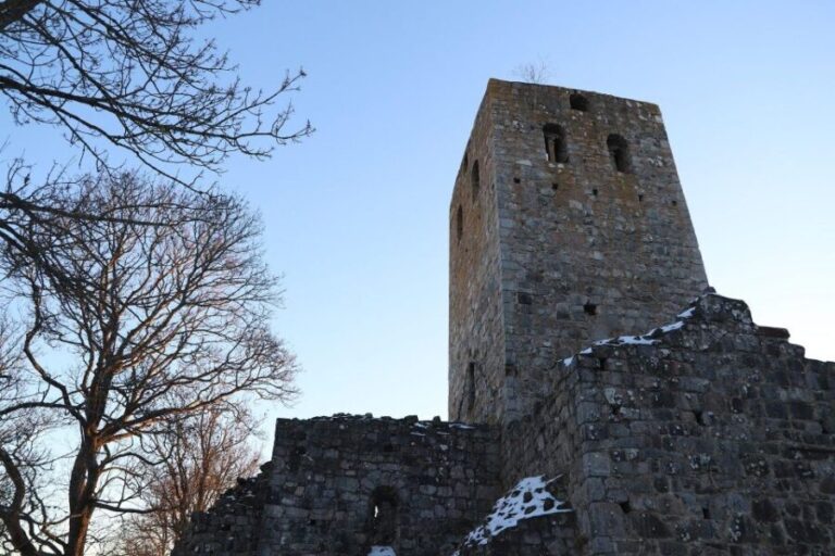Stockholm: Sigtuna and Uppsala Viking History Day Tour - What We Think About the Experience