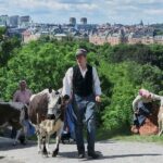 Stockholm: Skansen Open-Air Museum Admission Ticket - Who Will Love Skansen?