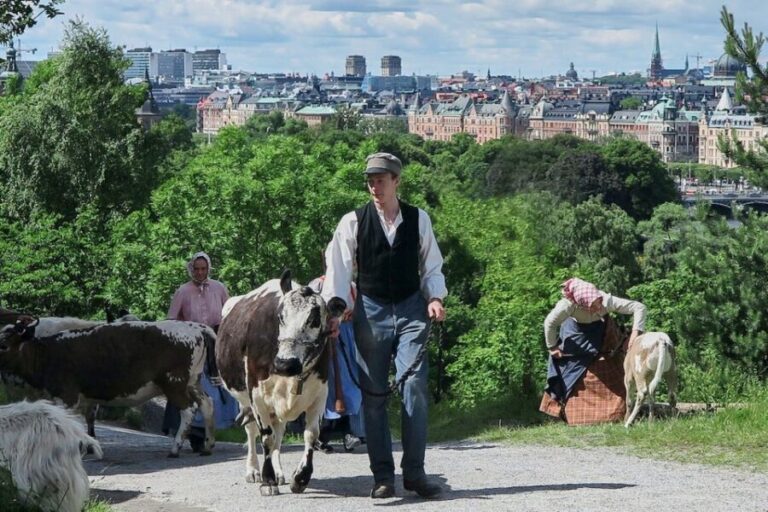 Stockholm: Skansen Open-Air Museum Admission Ticket - Who Will Love Skansen?