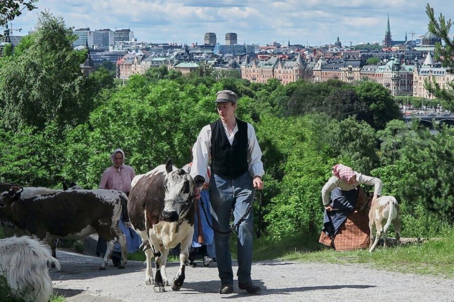 Stockholm: Skansen Open-Air Museum Admission Ticket - Who Will Love Skansen?