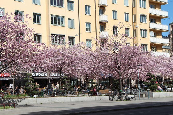 Stockholm Tour with a Local: Explore Hip And Bohemian Sodermalm - Who This Tour is Perfect For
