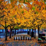 Stockholm: Wealth, Influence & Fika  Norrmalm Winter Tour - The Value of the Fika and the Overall Experience