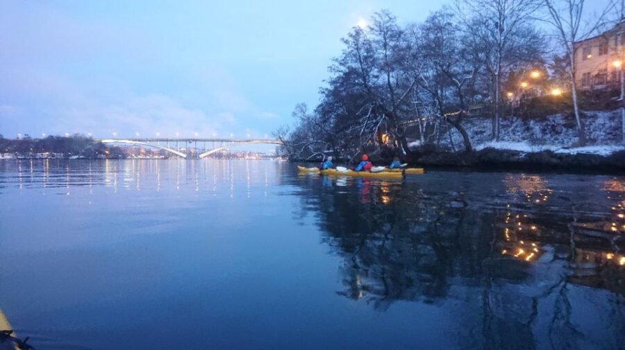 Stockholm: Winter City Kayaking Tour - Who This Tour is Perfect For