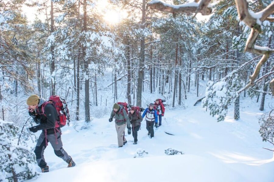 Stockholm: Winter Snowshoe Full-Day Hike - The Sum Up