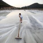 Ston and Peljeac Private Guided Tour From Dubrovnik - Considering the Cost and Value