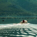 Ston Oyster & Wine Tasting Private Tour From Dubrovnik - The Value of This Tour