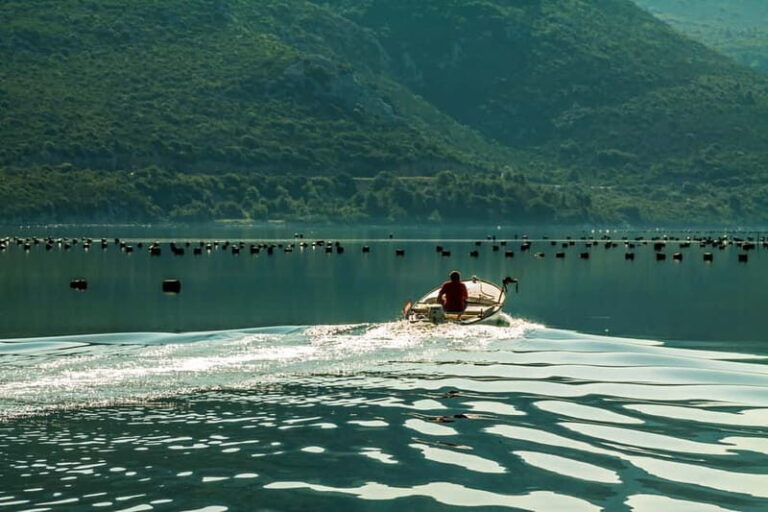 Ston Oyster & Wine Tasting Private Tour From Dubrovnik - The Value of This Tour