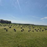 Stonehenge & Sacred Land Guided Driving Tour - Who Should Consider This Tour?
