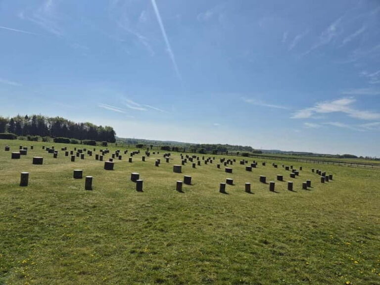 Stonehenge & Sacred Land Guided Driving Tour - Who Should Consider This Tour?