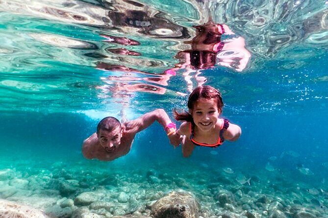 Stop on Island & National Park Day Cruise with Lunch Drinks - Why This Tour Works Well