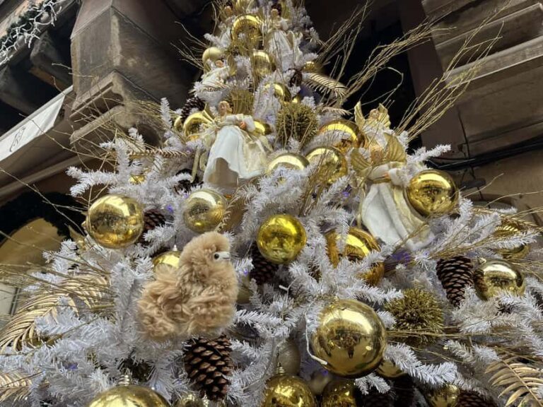 Strasbourg: Colmar, Villages & Castle Private Day Trip - Who Is This Tour Best For?