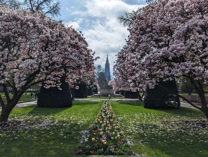 Strasbourg : guided walking tour through the wars 1871-1945 - What to Expect During the Tour