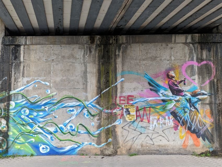 Strasbourg : Street-Art Tour - Analyzing the Price and Experience