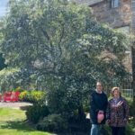 Stratford-Upon-Avon's Town Walking Tour (10:30am & 2pm) - What You Can Expect from the Itinerary