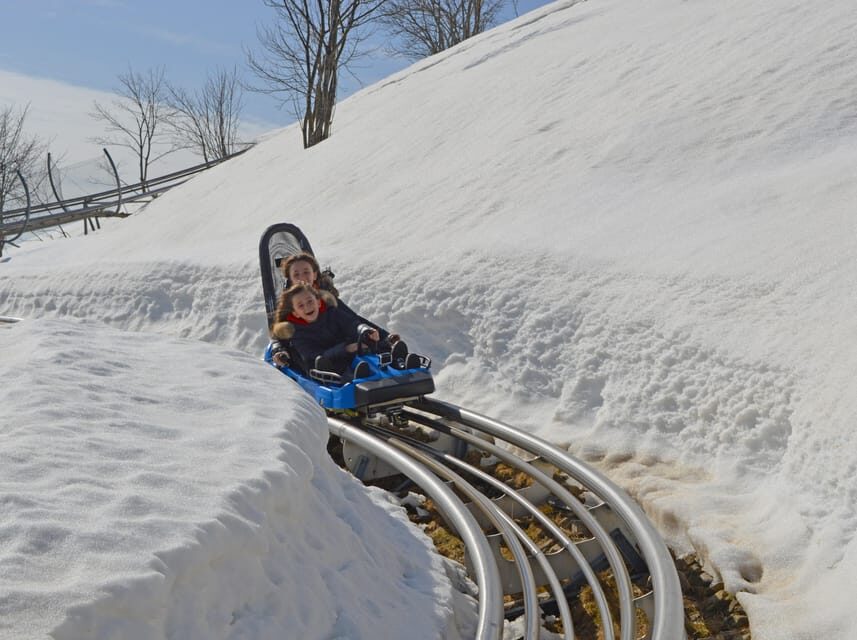 Stresa: Alpyland Alpine Coaster Ride on Mount Mottarone - Review Highlights and Real Traveler Feedback
