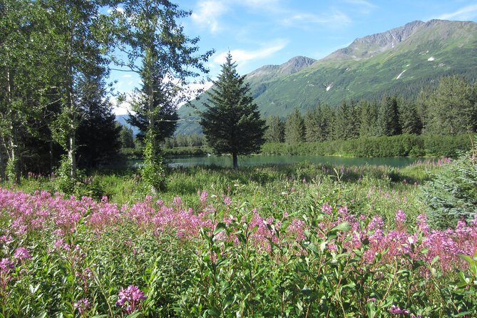 Stunning Turnagain Arm Tour: "A Must See Destination" - The Sum Up