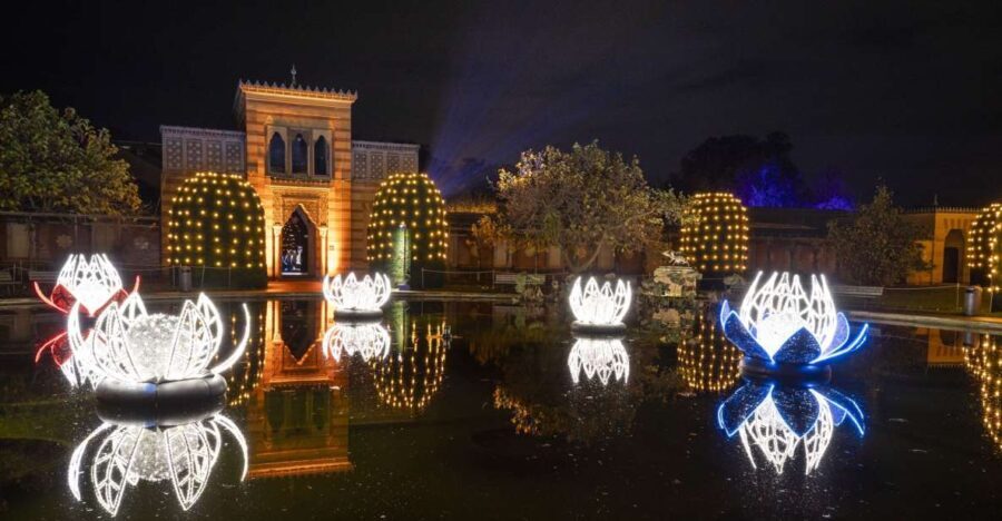 Stuttgart: Christmas Garden at the Wilhelma Zoo - Practical Tips for Visiting