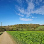 Stuttgart: Exclusive raft boat Fischle - The Experience from the Travelers Perspective