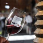 Stuttgart: Stuttgart Wine Museum Wine Tasting - An Honest Breakdown of What to Expect