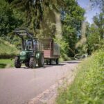 Stuttgart: Vineyard Tour by Covered Wagon - The Downsides and Considerations