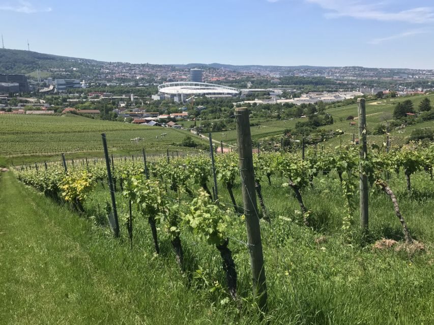 Stuttgart: Wine Tour with wines of the best winemakers - Who Should Consider This Tour?