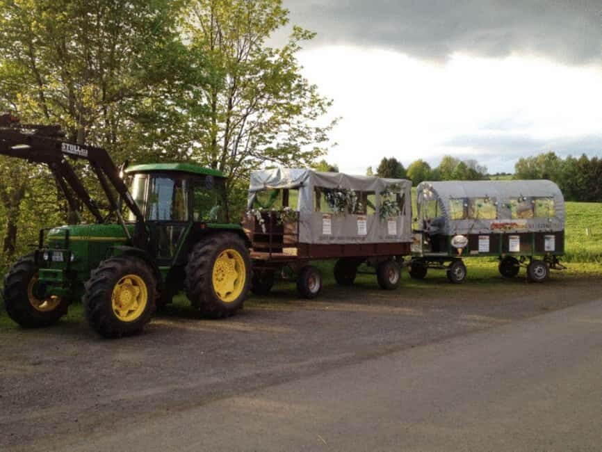 Stuttgart: Winter sleigh covered wagon tour - The Details That Matter