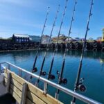 Stykkishólmur: Sea Angling Tour with Local Guide - Who Is This Tour Best For?