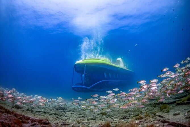 SUBMARINE ADVENTURE - Submarine Excursion in Puerto de Mogán - What Travelers Say About the Experience