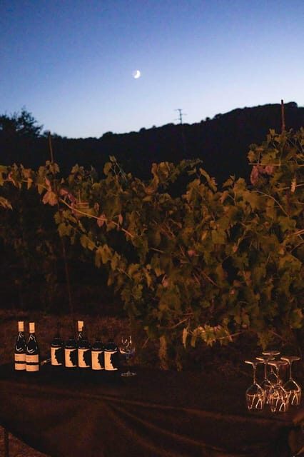 Sugano: Goblets at Sunset Experience - What Travelers Can Expect